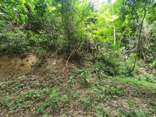 Imagem do imóvel TE05555