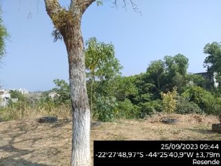 Imagem do imóvel TE73346