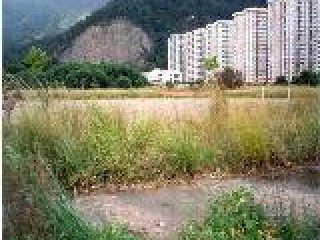 Imagem do imóvel AP24031