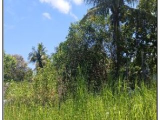 Imagem do imóvel TE93856