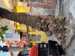 Imagem do imóvel CA63077