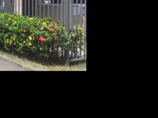 Imagem do imóvel AP59233