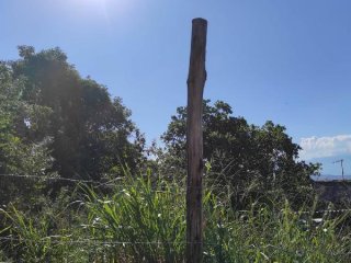 Imagem do imóvel TE27772