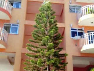 Imagem do imóvel AP15672