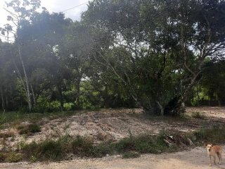 Imagem do imóvel TE63371