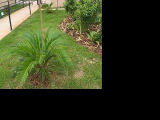 Imagem do imóvel AP91635