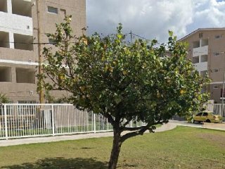 Imagem do imóvel AP27276