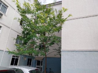 Imagem do imóvel AP59637