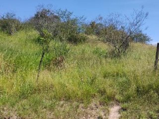 Imagem do imóvel TE89340